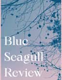 Blue Seagull Review