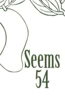 Seems Literary Magazine 