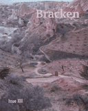 Bracken