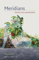 Meridians: Feminism, race, transnationalism