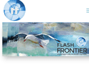 Flash Frontier