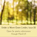 Under a Warm Green Linden