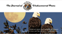The Journal of Undiscovered Poets