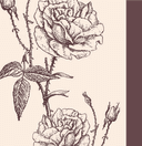 redrosethorns journal