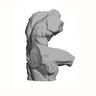 Alpine Fellowship Writing Prize logo