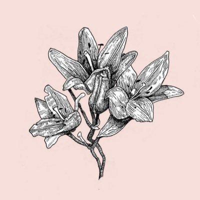 Logo of Bad Lilies literary magazine