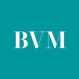 Logo of Brave Voices literary magazine