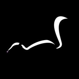 Logo of Dead Skunk literary magazine