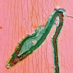 Logo of The Florida Review & Aquifer: The Florida Review Online literary magazine