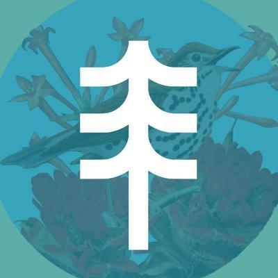 Logo of Longleaf Review literary magazine