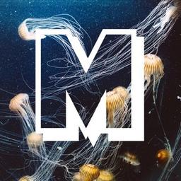 Logo of Mithila Review literary magazine