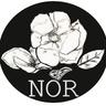 New Orleans Review logo