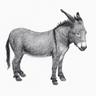 Logo of Okay Donkey literary magazine