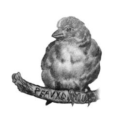 Logo of Peauxdunque Review literary magazine