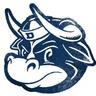 Bull City Press (duplicate) logo