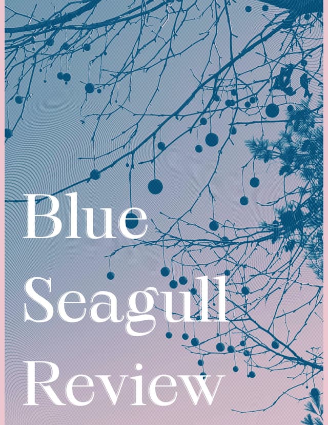 Blue Seagull Review latest issue