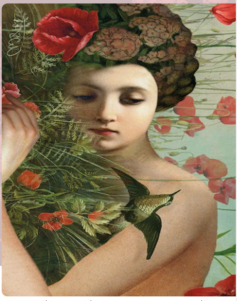 Cover of Poppy Road Review