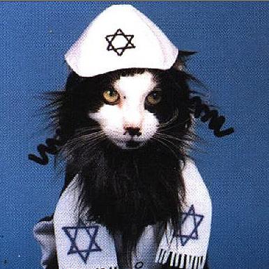 Cat Hess avatar