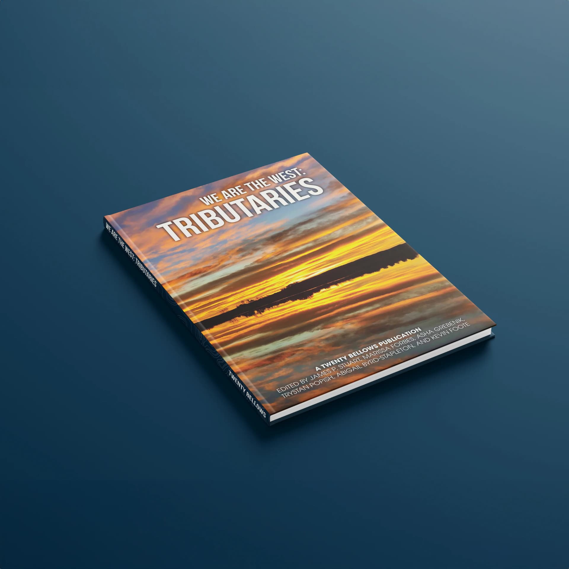 Book cover of We Are the West: Tributaries by madeleine.boyson
