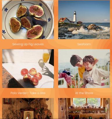 Palette Magazine latest issue