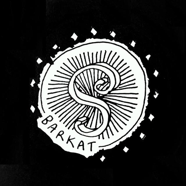 Sara Barkat avatar