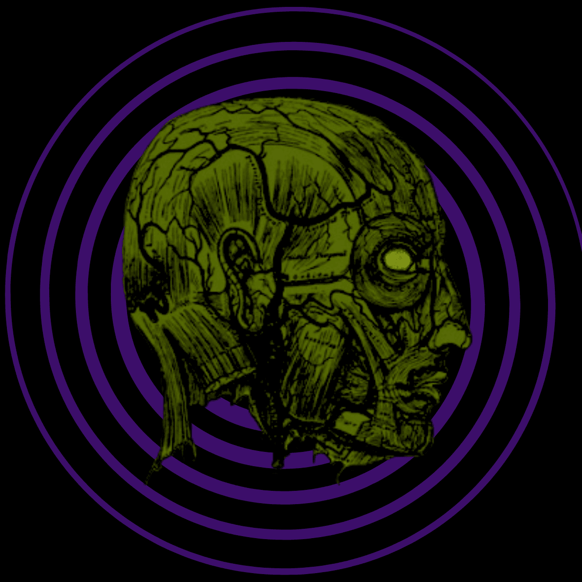 Cover of The Morgue