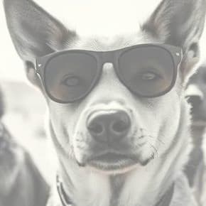 Cover of Dog Throat Journal