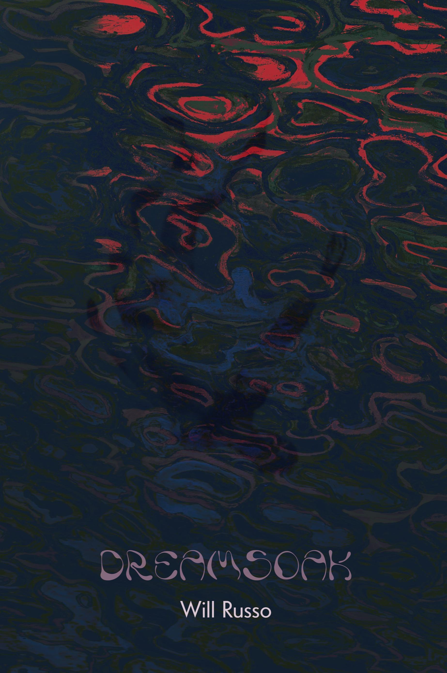 Book cover of Dreamsoak by Will Russo