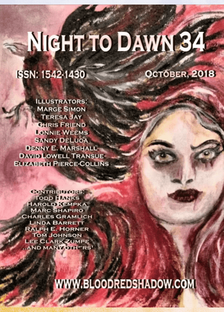 Cover of Night to Dawn Magazine