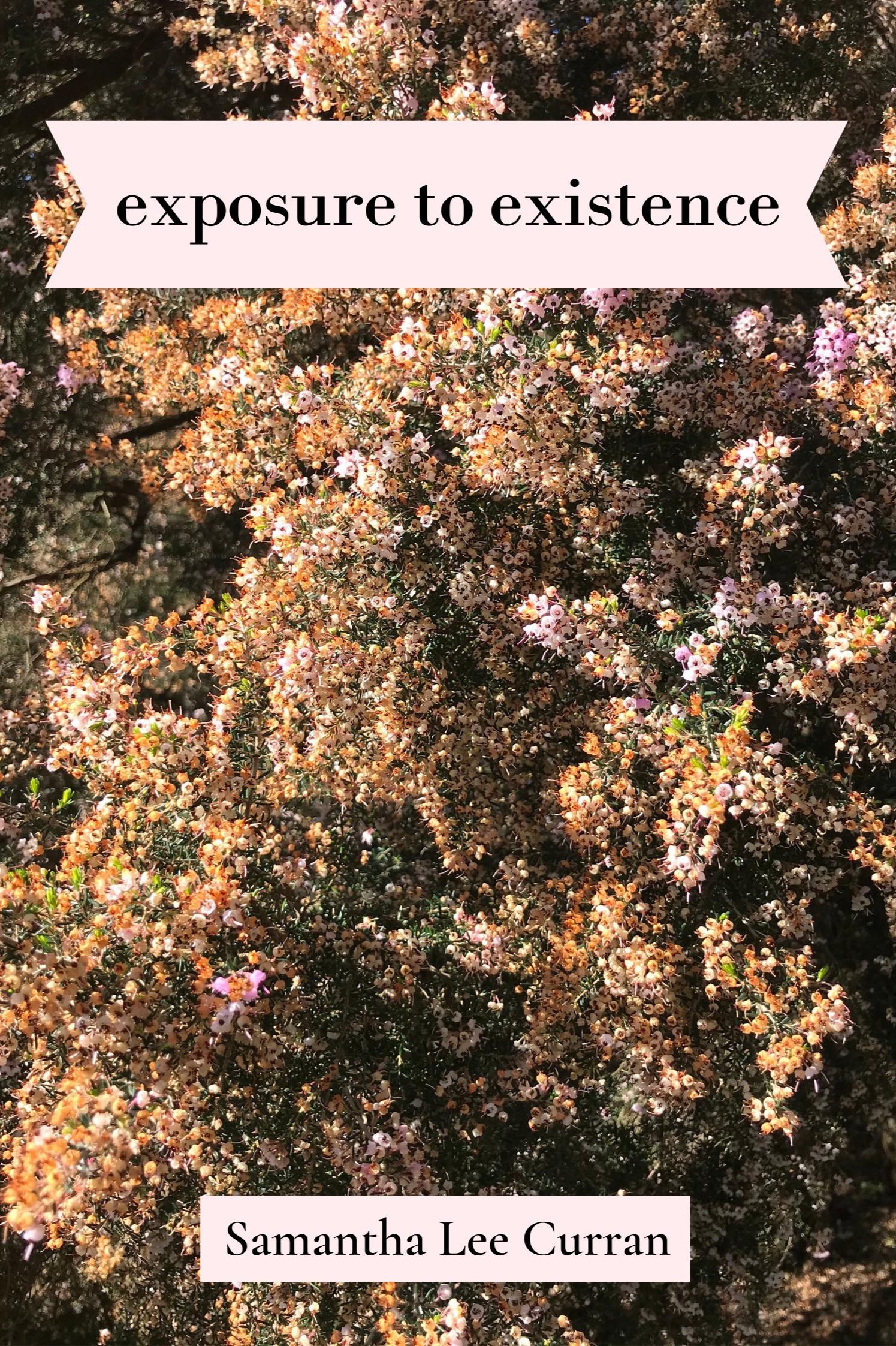 Book cover of exposure to existence by Samantha Lee Curran