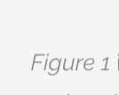 Figure 1 latest issue