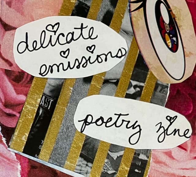 delicate emissions poetry zine latest issue
