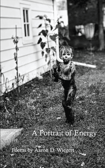 Book cover of A Portrait of Energy by Aaron D. Wiegert