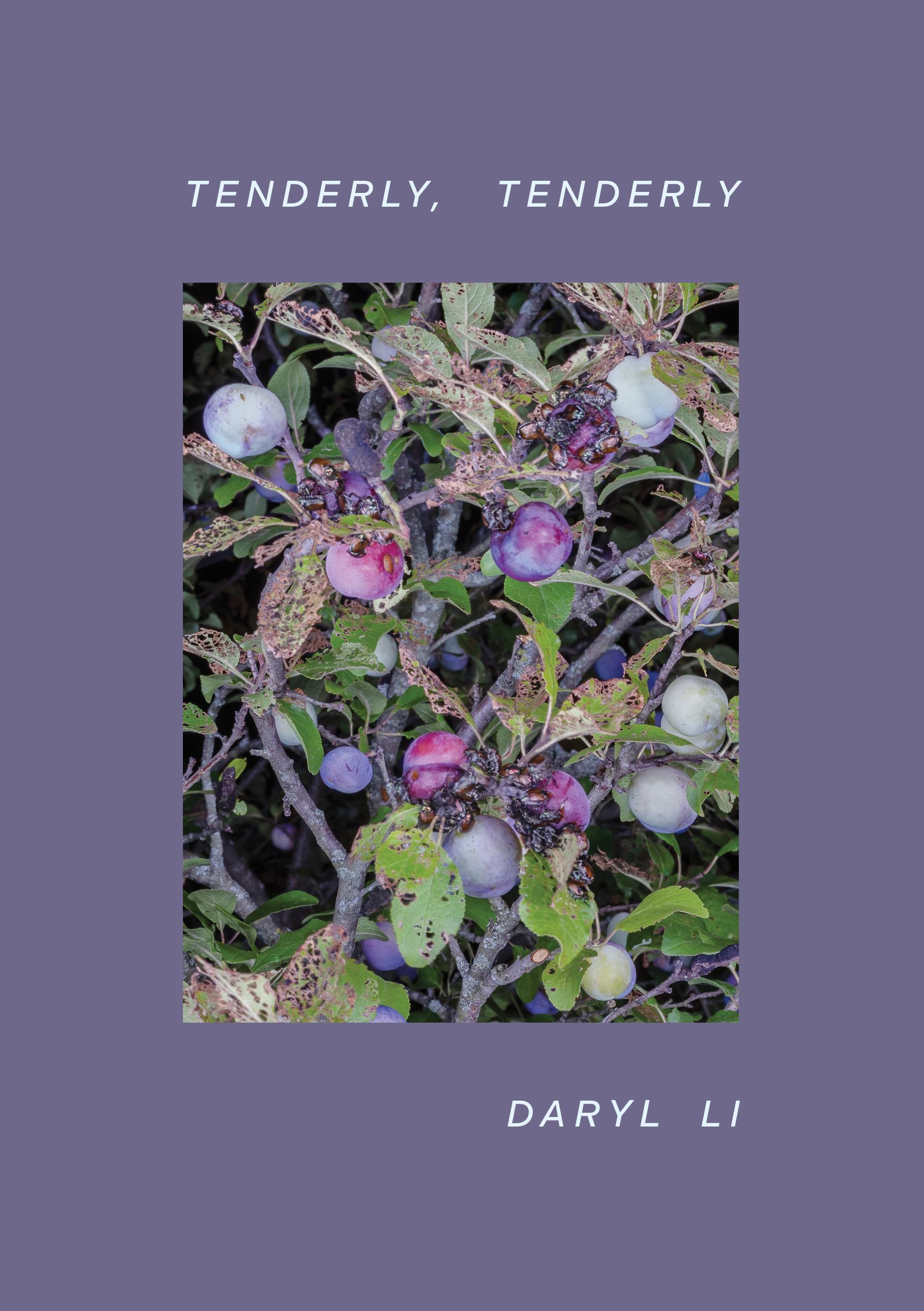 Book cover of Tenderly, Tenderly by Daryl Li