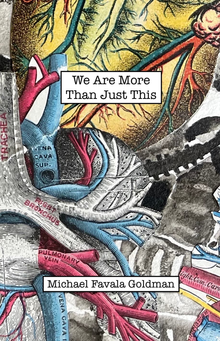 Book cover of We are more than just this by Michael Favala Goldman