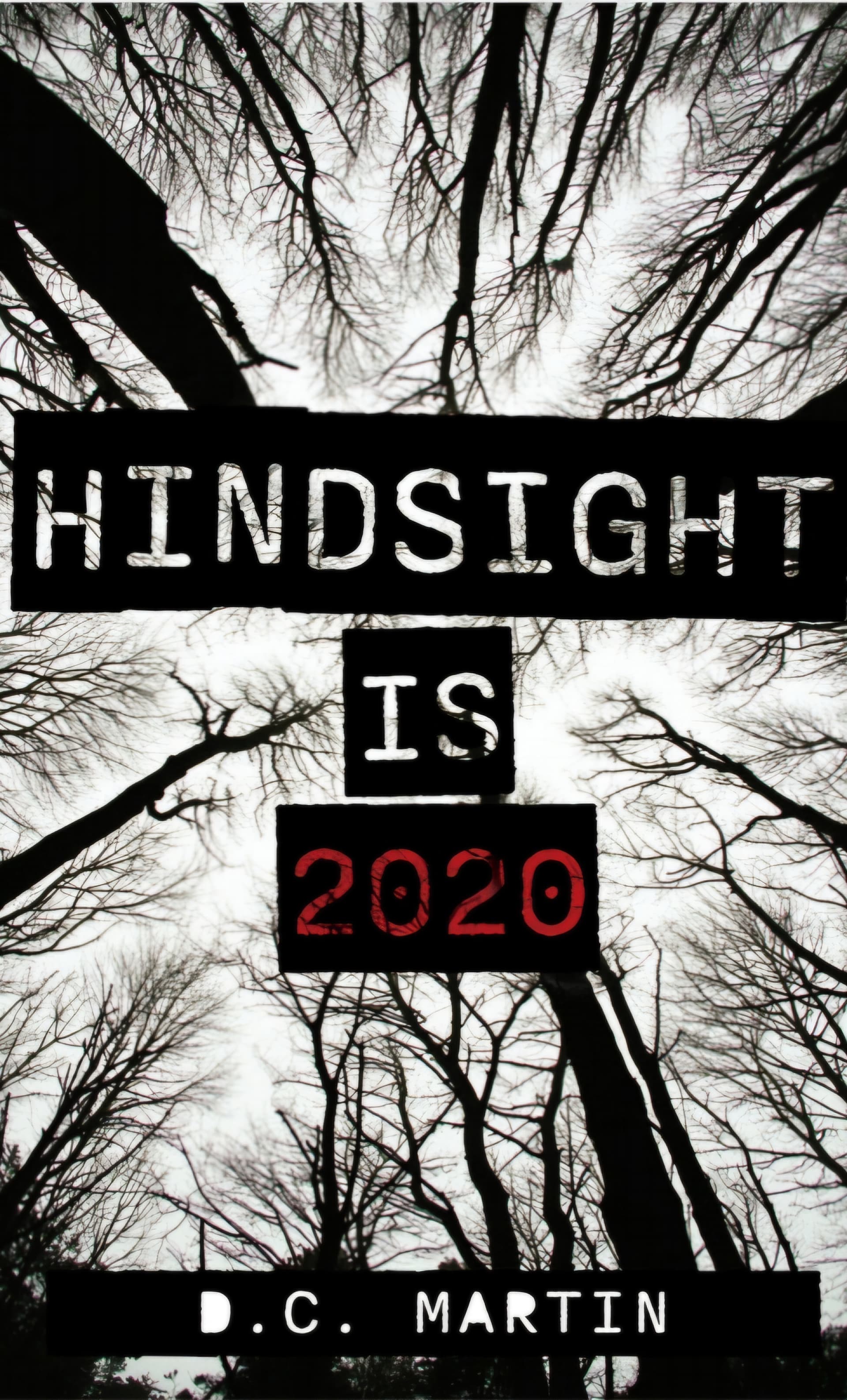Book cover of Hindsight is 2020 by Dawson Martin