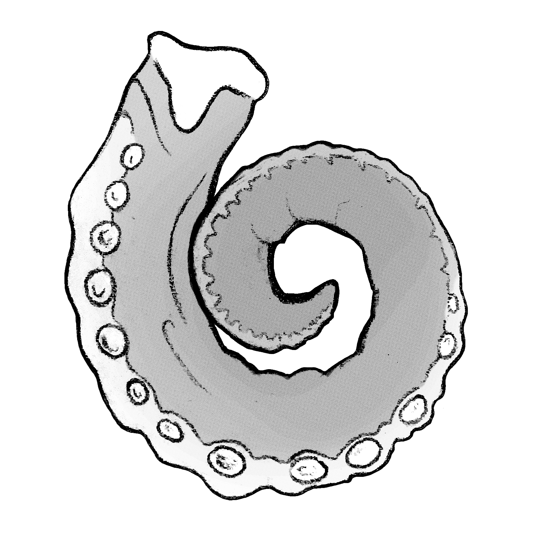 Cover of Jelly Squid