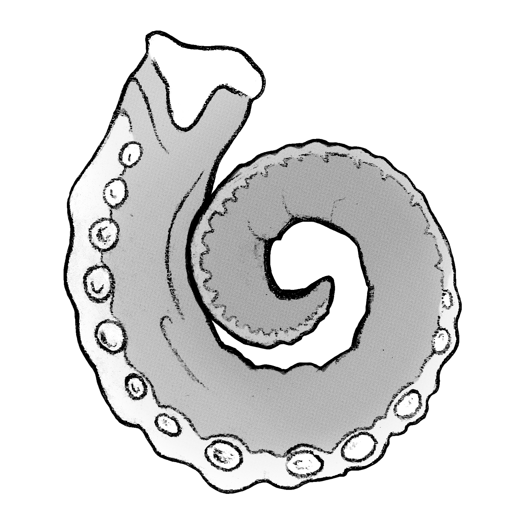 Cover of Jelly Squid