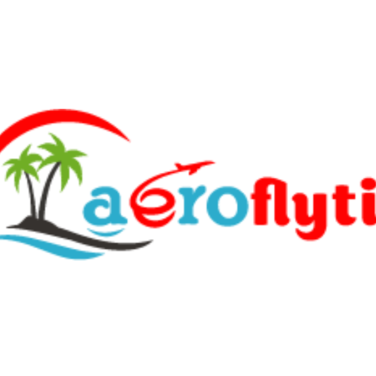 aero fly ticket avatar