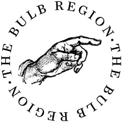 Cover of The Bulb Region