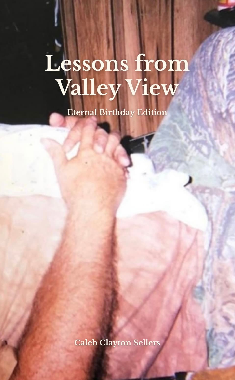 Book cover of Lessons from Valley View by Caleb Clayton Sellers