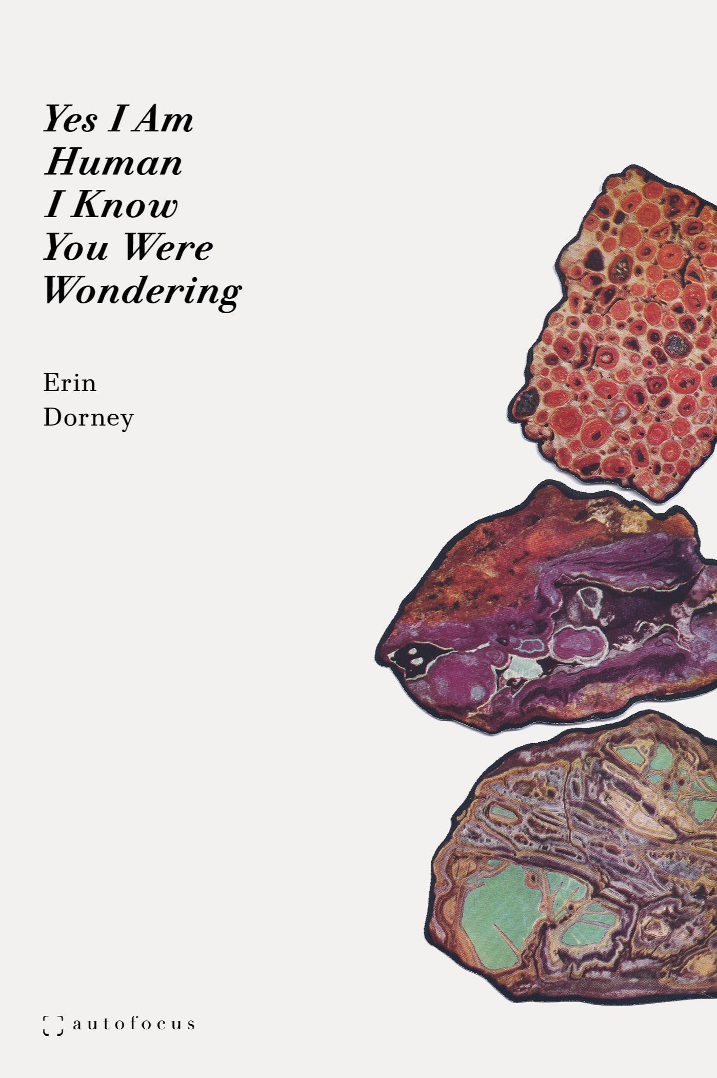 Book cover of Yes I Am Human I Know You Were Wondering by Erin Dorney