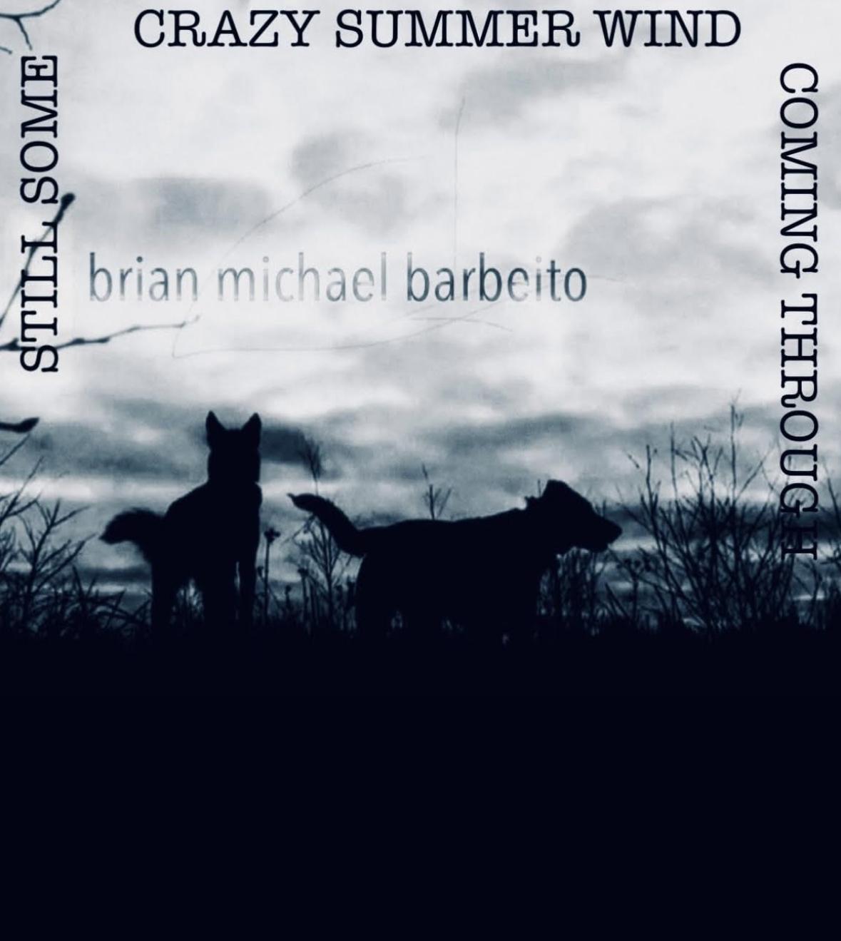 Book cover of Still Some Crazy Summer Wind Coming Through by brian michael barbeito