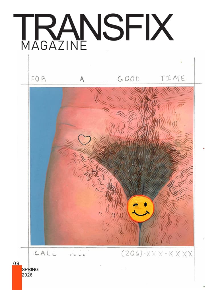 Book cover of Transfix Magazine | Issue 09 | March 2026 by Salem Fluke