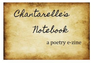 Chantarelle's Notebook latest issue