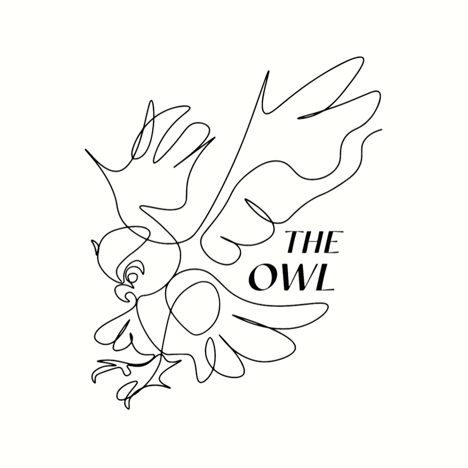 Cover of The Owl