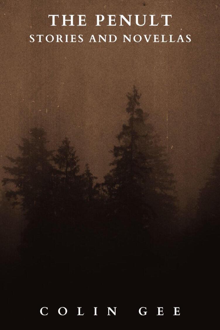 Book cover of The Penult by colinmgee