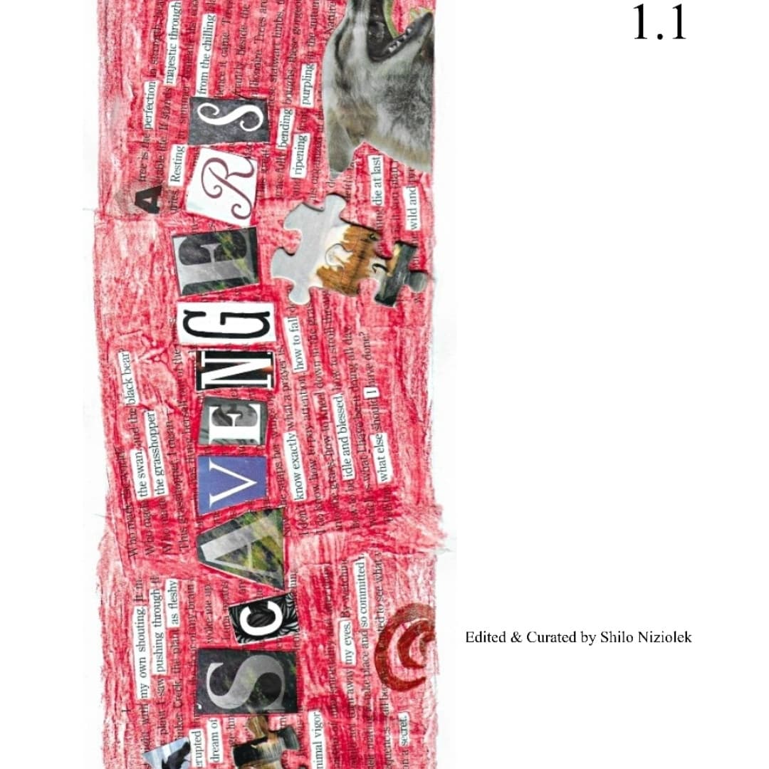 Cover of Scavengers