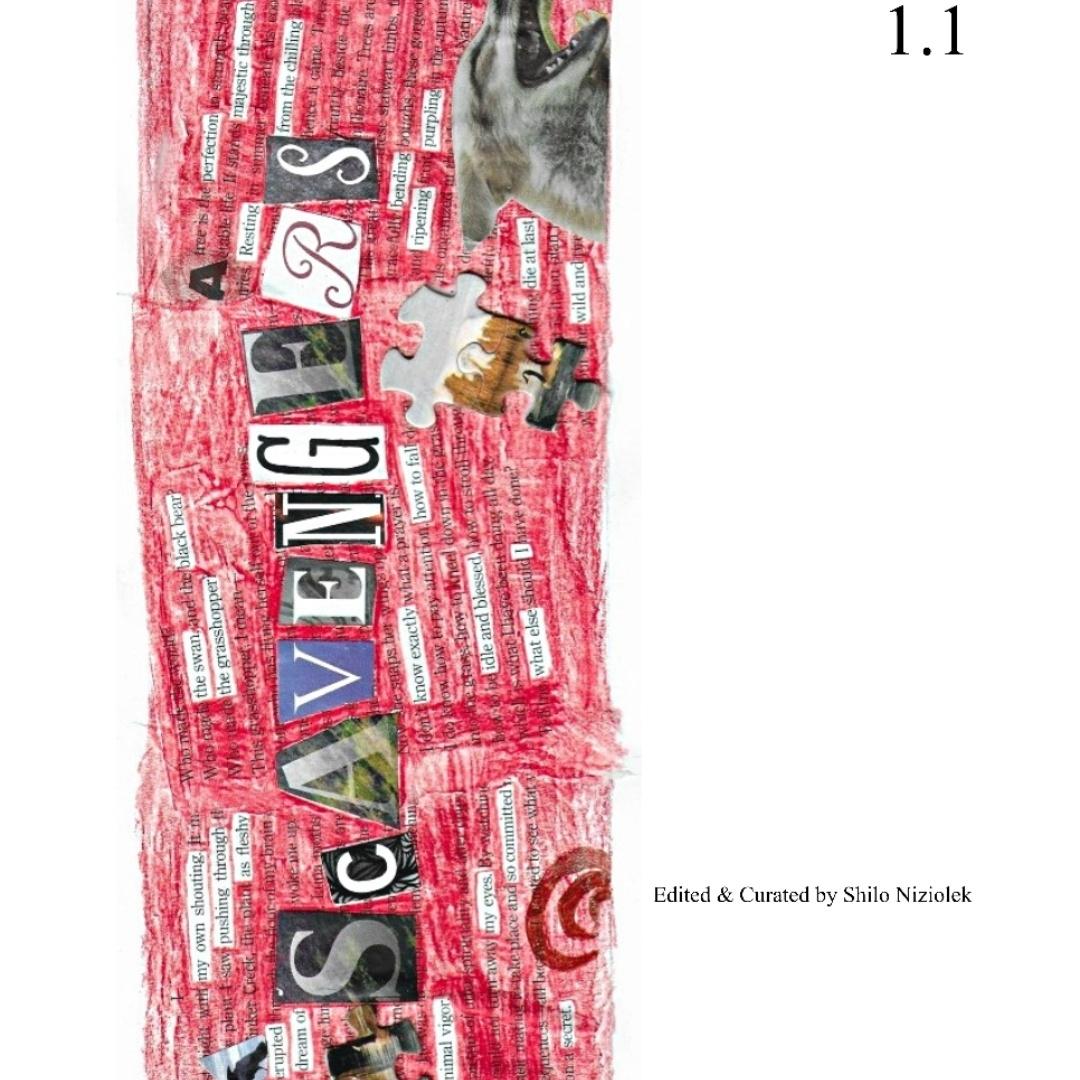 Cover of Scavengers 