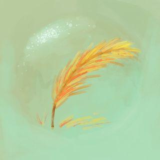 peiskos.lit avatar